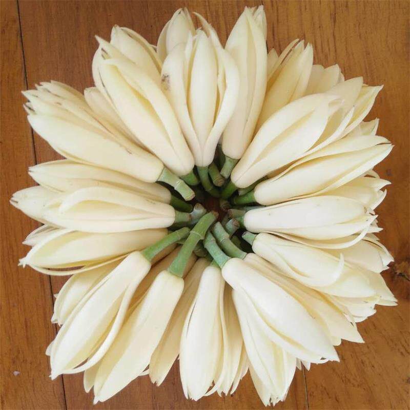 白兰花鲜花朵黄桷兰缅桂花白玉兰精华液香精黄角兰黄果兰提取液_虎窝淘