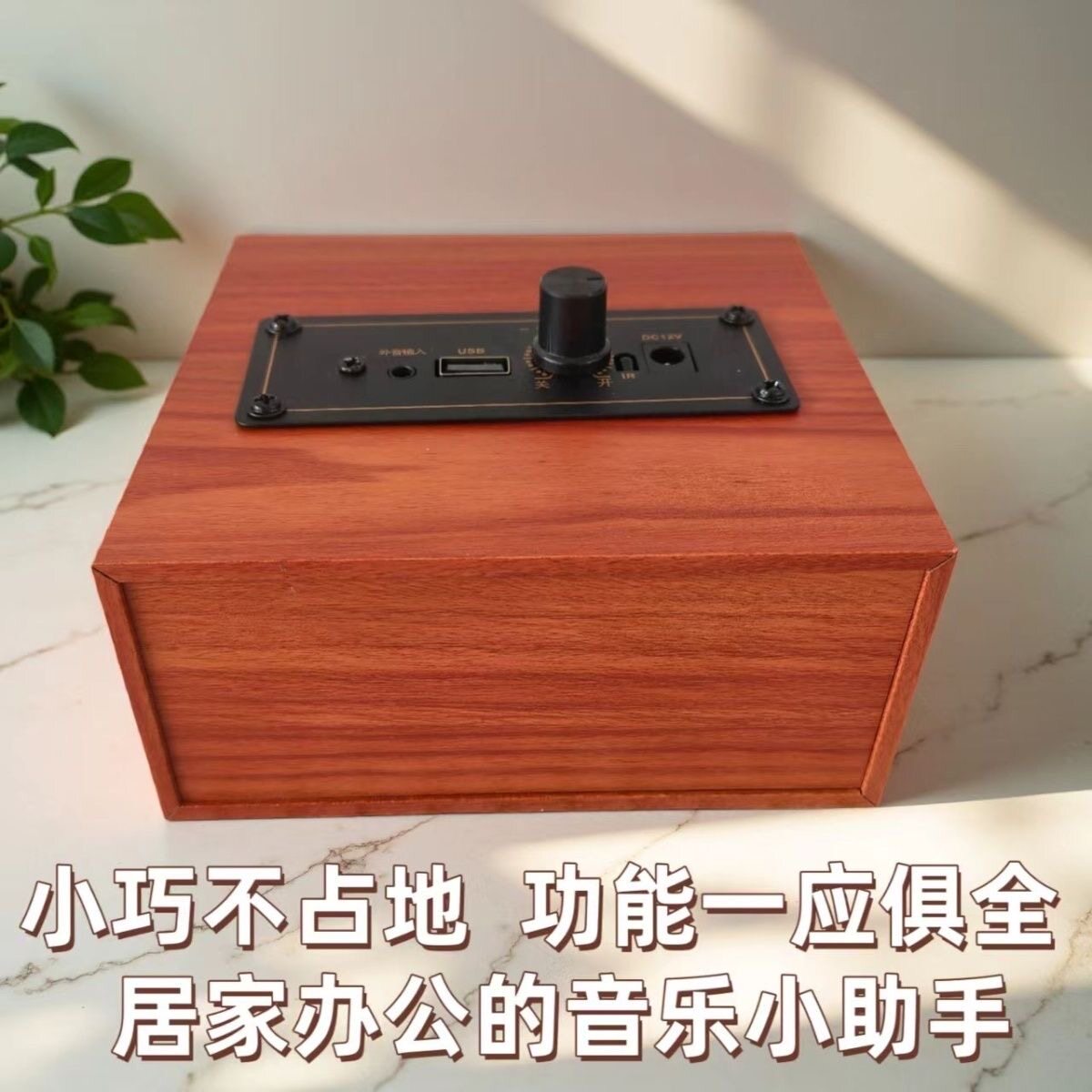 声丽美155F无线蓝牙数字功放机无损USB数播3.5音频输入HIFI发烧级
