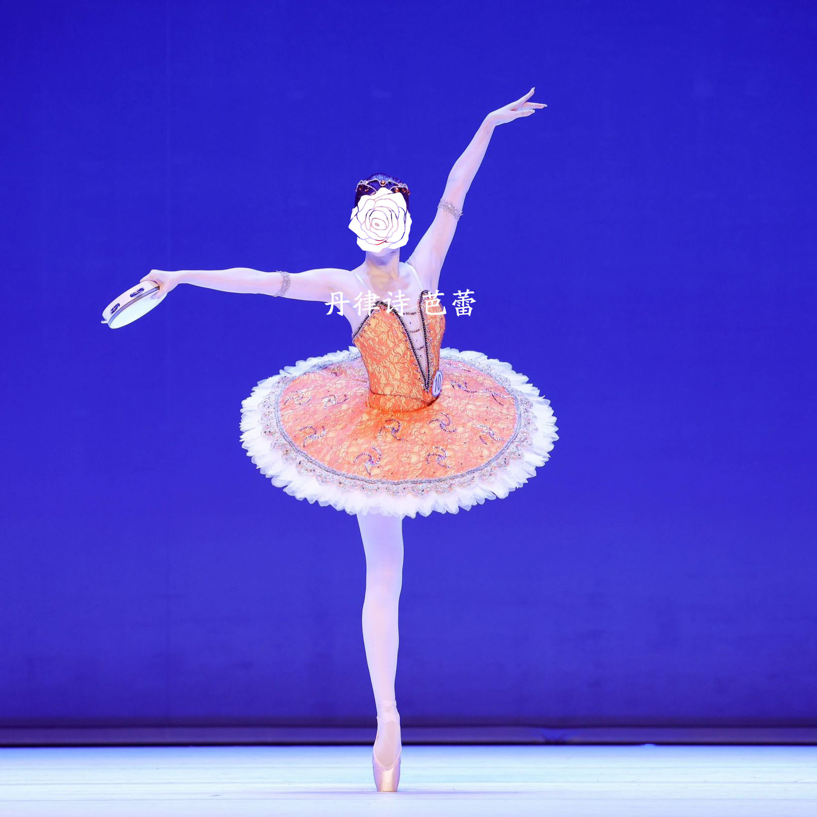 丹律诗巴赫塔帕基塔剧目变奏独舞艺考芭蕾舞tutu裙成人比赛突突裙