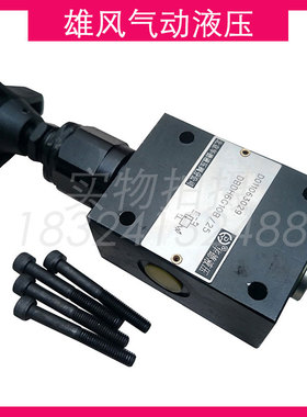 DBDH8G10B/315华德直动式溢流阀 DBDH8G10B/200 DBDH10G10B/100