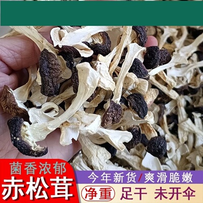 【赤松茸】赤松茸干货特产大球盖菇切片新鲜菌菇干蘑菇松茸菌煲汤