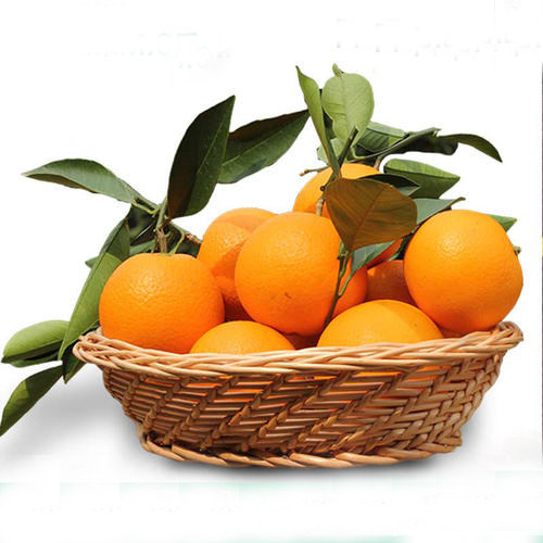鹿寨蜜橙新鲜应季孕妇水果纯甜少核多汁鲜果橙子桂橙一号好果