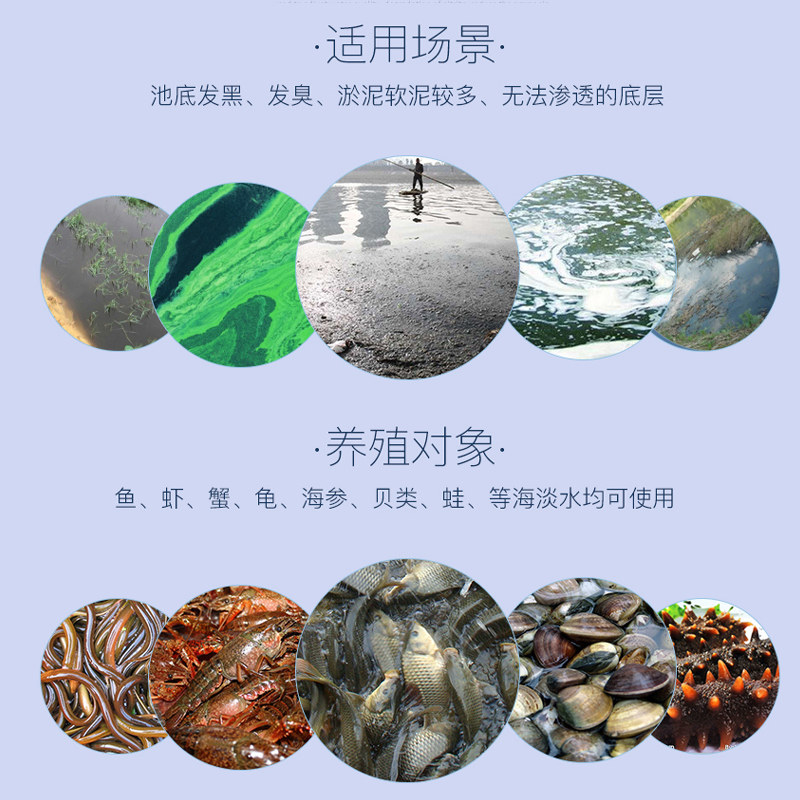 【整箱30龙】em菌水养产殖小袋虾蟹鱼塘调净水EM益生菌原种浓缩粉