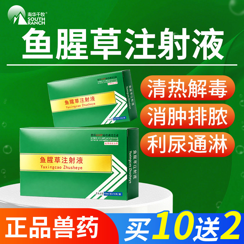 兽药鱼腥草注射液兽用猪牛羊产后康乳房炎拉稀痢疾血便消炎药针剂