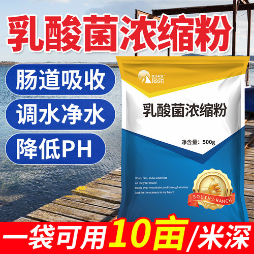 南华千牧复合芽孢杆菌浓缩粉