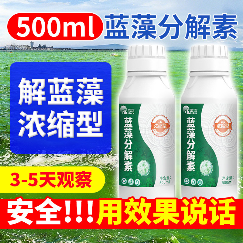 蓝藻分解素蓝藻速灭水产养殖小龙虾蟹鱼塘蓝藻分解酶除蓝藻毒速净