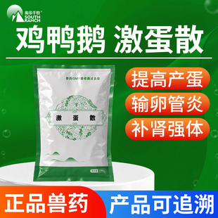 激蛋散兽用母鸡鸭鹅下蛋专用提高产蛋灵禽用输卵管炎蛋多多增蛋宝