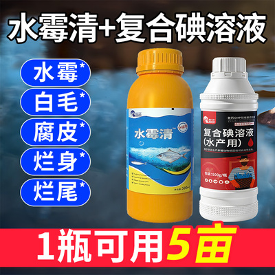 水霉病专治硫醚沙星养殖腐皮烂
