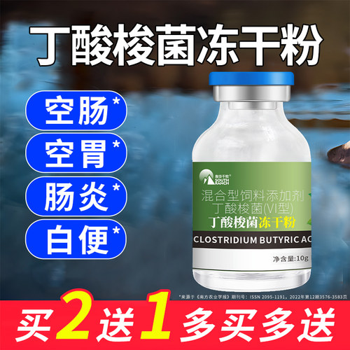 蟹塘对虾调节肠道白便丁酸梭菌
