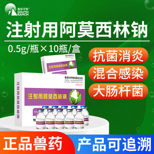 注射用阿莫西林钠兽药猪拉稀腹泻牛羊胸膜肺炎产后消炎兽用针剂