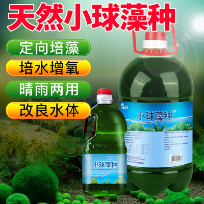 小球藻浓缩复合增氧水产养殖