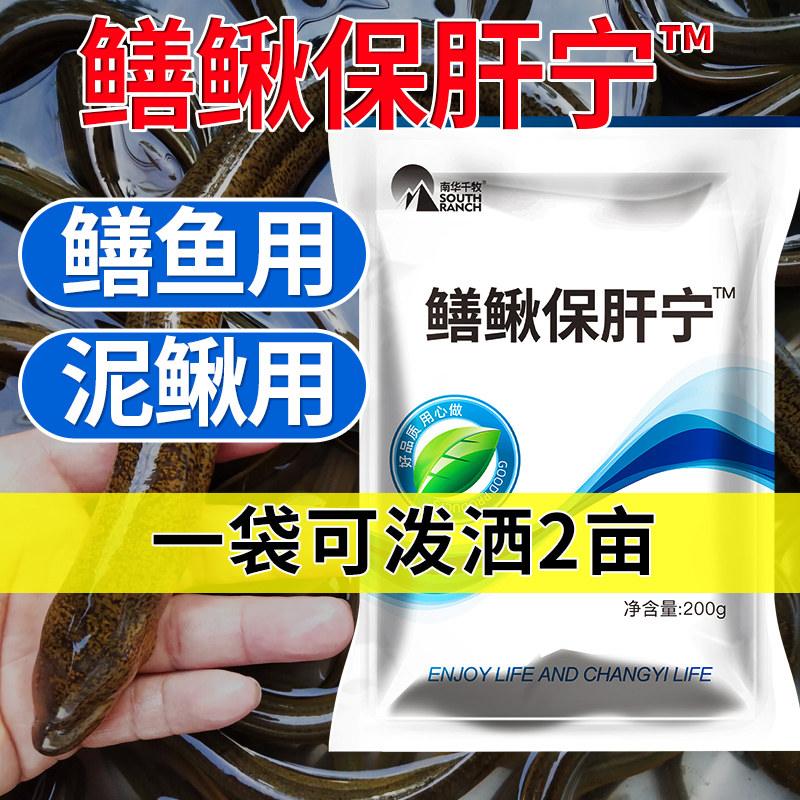 鳝鳅保肝宁黄鳝宝肝保胆利泥鳅肝胆综合花肝白肝肝肿大水产养殖