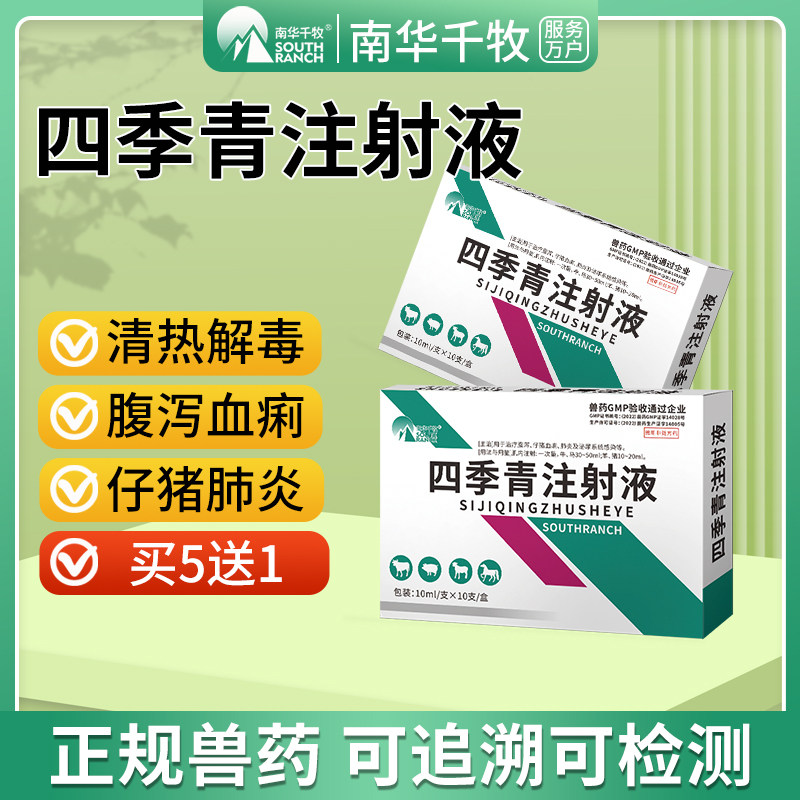 四季青注射液兽药牛羊马猪药清热解毒仔猪腹泻血痢泌尿肺炎感染