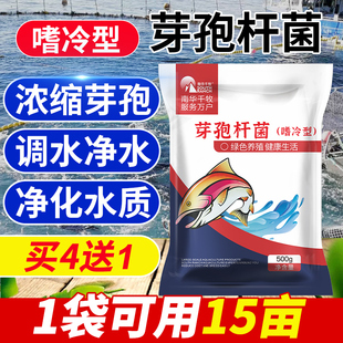 芽孢杆菌原粉嗜冷型水产养殖虾蟹鱼塘降解氨氮亚盐调水肥益生菌