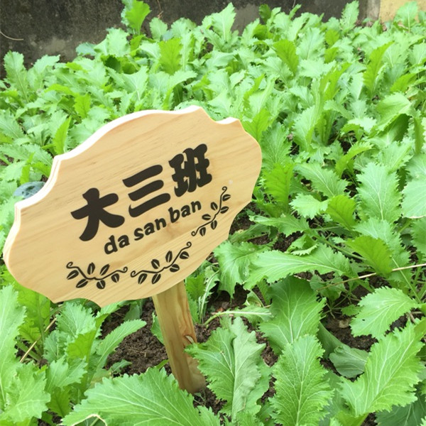 定制木牌子公园菜园菜地木质草地种植区指示牌立式插地牌爱护花草