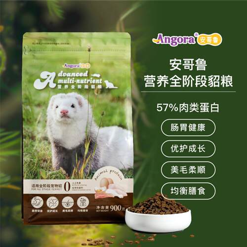 宠物貂
