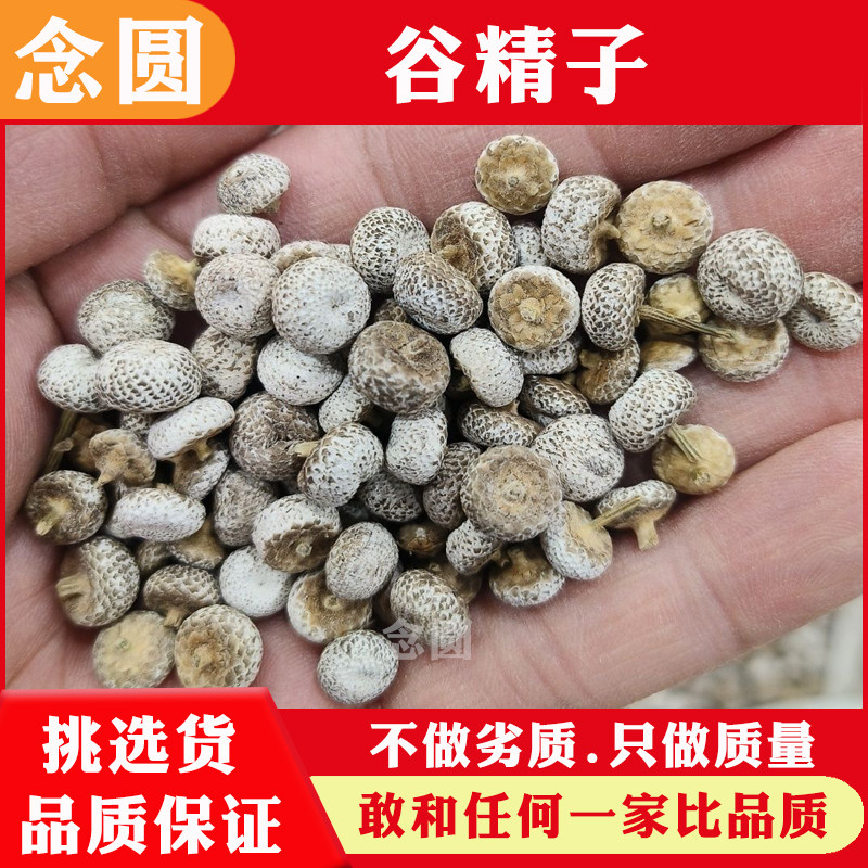 念圆 谷精子干货 谷精子中药材谷精草谷精珠鱼眼草中草药无硫新货