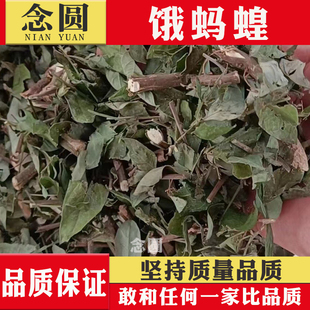 念圆 饿蚂蝗草干货500克广西饿蚂蝗中药材山蚂蝗 煮水煲汤饿蚂蟥