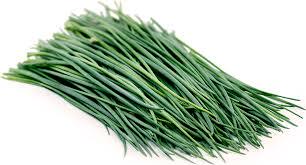 西餐特色食材 新鲜香草香料 Chives 虾夷葱 法葱 细香葱 50g