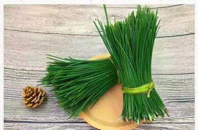 Microgreens 新鲜特色装饰叶材 马尾松50g100g