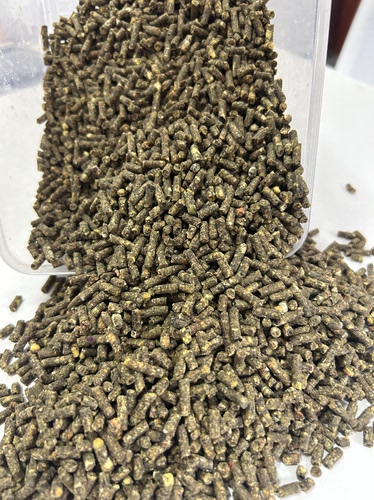 鹦鹉高能滋养丸自家养殖场专用制作几十种原材料维生素小太阳和尚