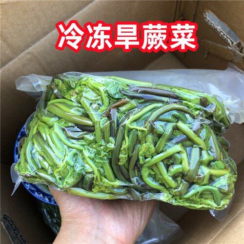 东北野菜旱蕨菜新鲜现发