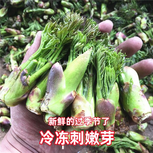 东北山野菜刺嫩芽蘸酱菜