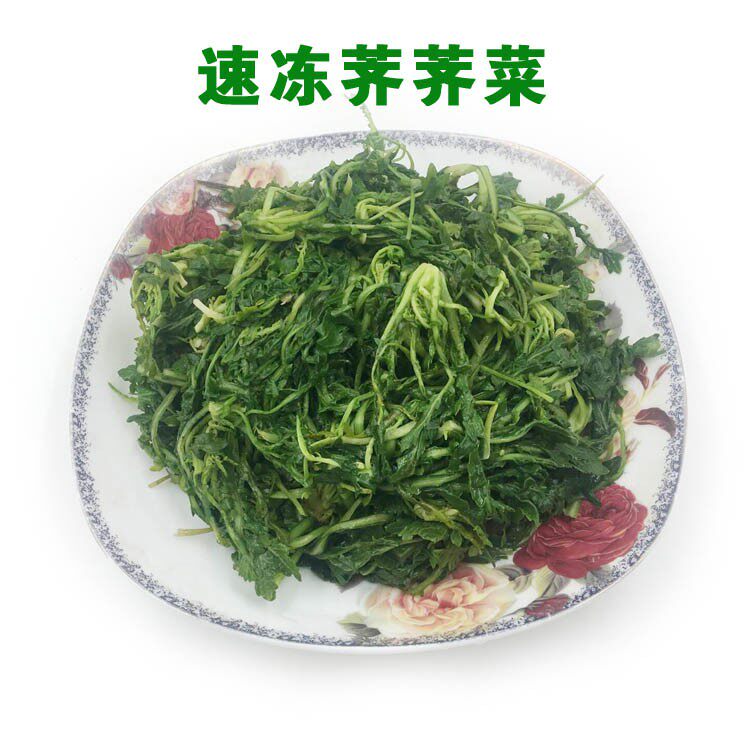 东北山野菜荠荠菜新鲜冷冻山野菜地菜混沌饺子包子馅1斤包邮