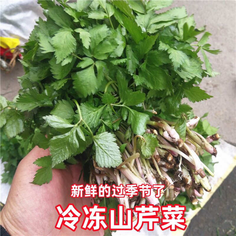 长白山冷冻野菜山芹菜产地发货图片