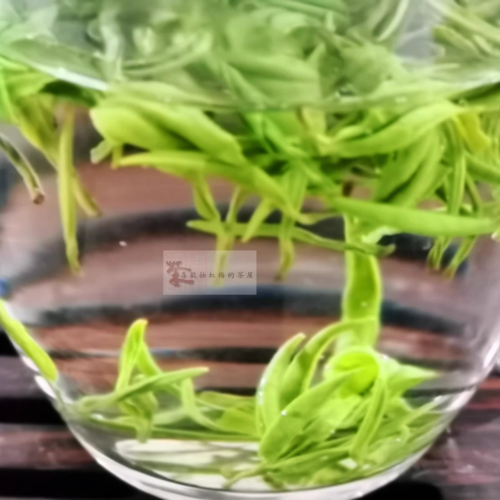 安化松针2023年特级明前茶绿茶散装100克 湖南特产烟溪镇绿针茗茶