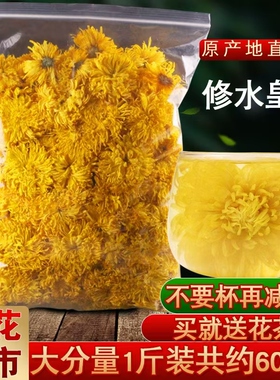 菊花茶一朵一杯金丝皇菊散装500克大朵胎菊王大黄干菊花茶叶