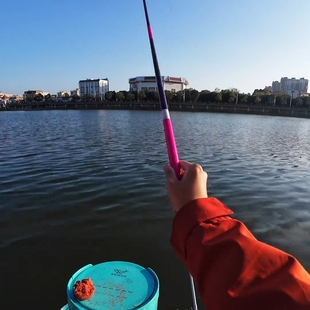 冰蓝粉鱼竿手竿台钓竿超轻超硬5h28调6h19调鲤鱼竿轻量大物碳纤维