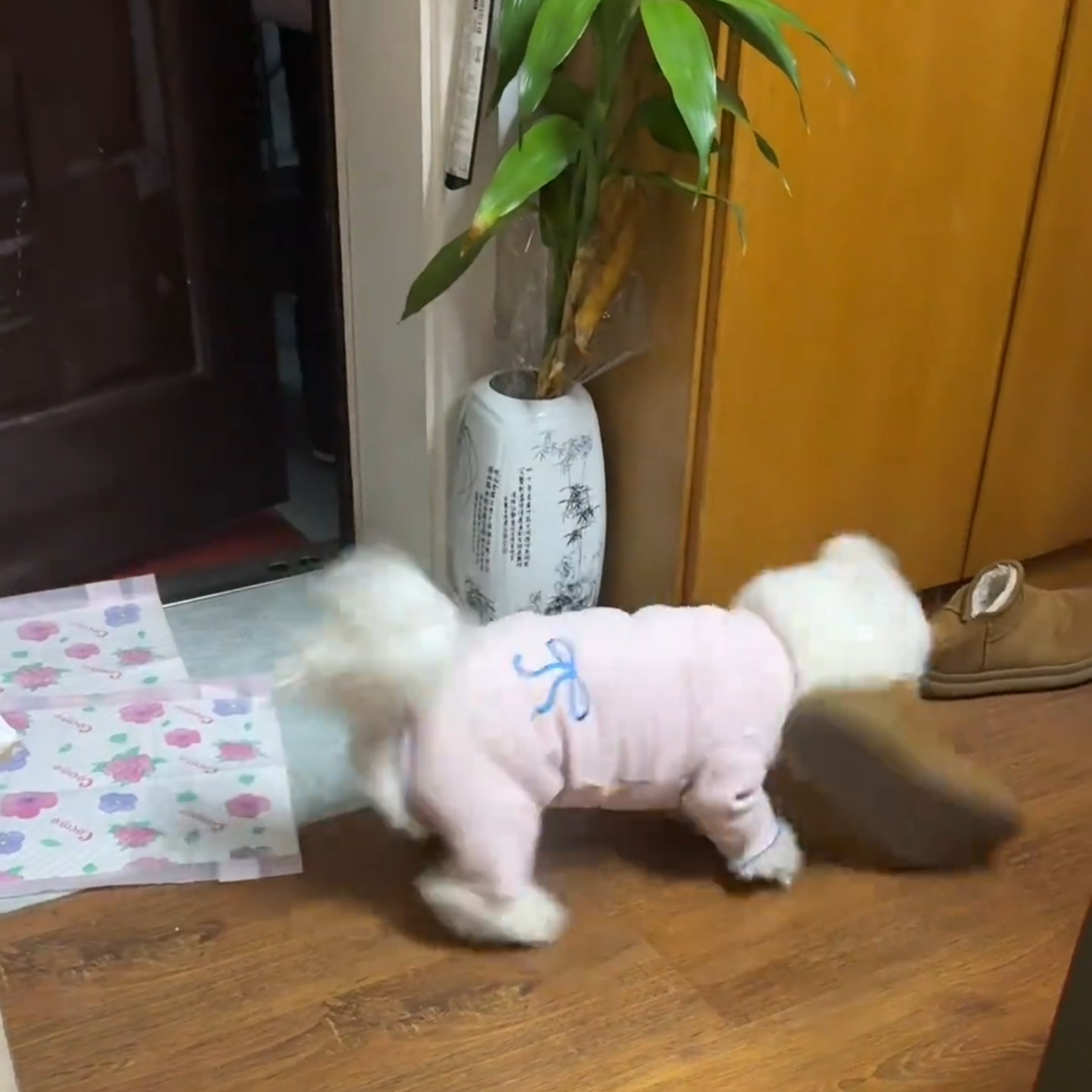 狗狗衣服夏季薄款护肚衣宠物四脚衣泰迪比熊博美小型犬猫咪粉睡衣,宠物/宠物食品及用品,狗宠物服装/雨衣,淘宝优惠券,粉丝福利购,淘宝优惠卷