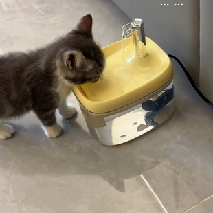 猫咪饮水器自动循环流动饮水机小猫喝水器狗狗水盆喂水碗宠物用品