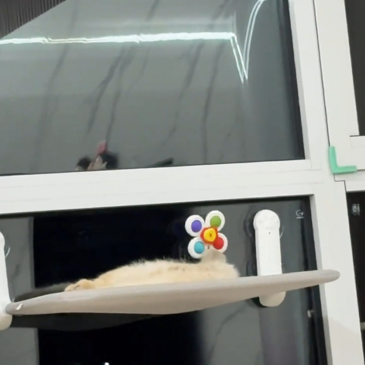 婴儿车玩具挂件固定风车吸盘转转乐宝宝遛娃神器餐车玩具卡通挂件