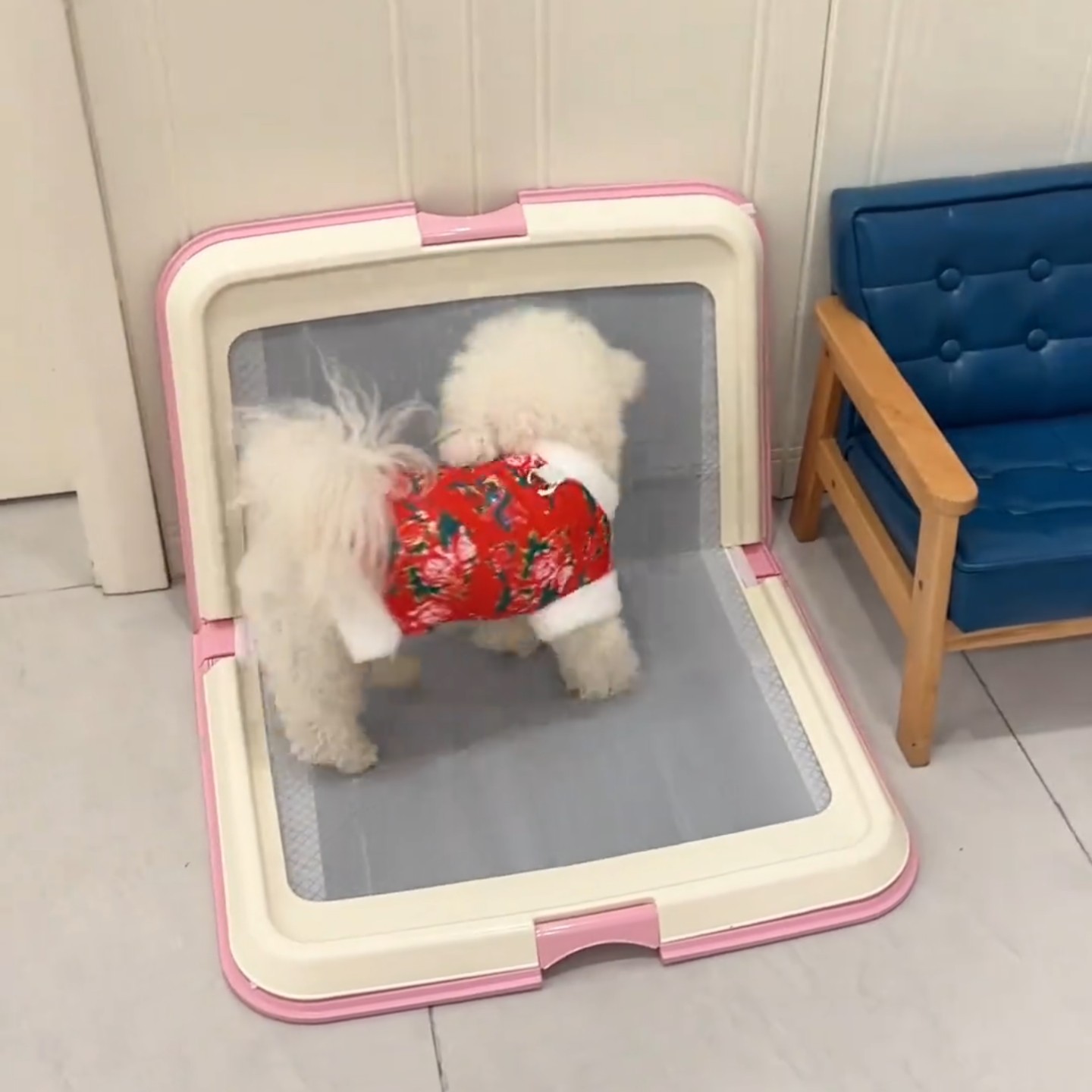 折叠狗狗厕所便便器宠物网格便盆小型犬小狗爱丽思平板式狗猫厕所