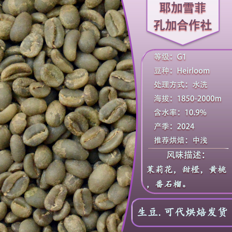 耶加雪菲咖啡豆孔加合作社ALO 水洗处理手冲冷萃SOE精品单品埃塞