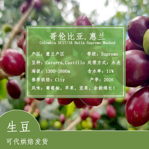 水洗处理哥伦比亚蕙兰卡图拉均衡