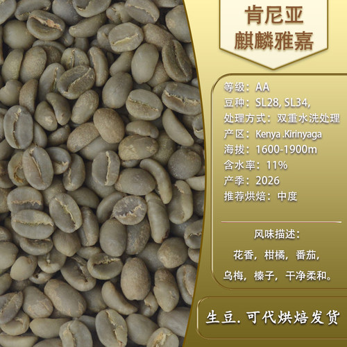 SL28肯尼亚硬质豆可代烘焙