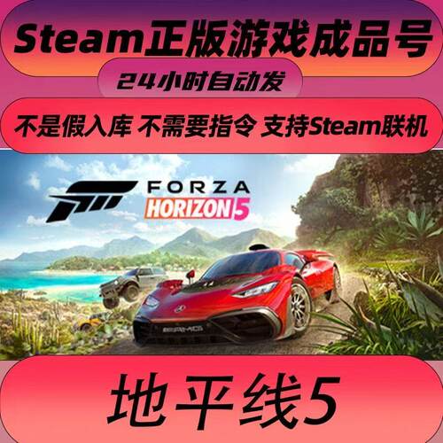 地平线5PC正版成品号可联机