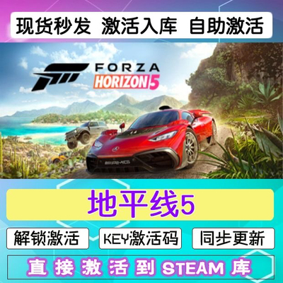 steam极限竞速地平线5激活码Key正版CDK终级版兑换码在线联机全车