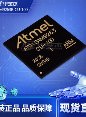 AT91SAM9263B-CU-100 封装BGA324 微控制器 原装库存现货