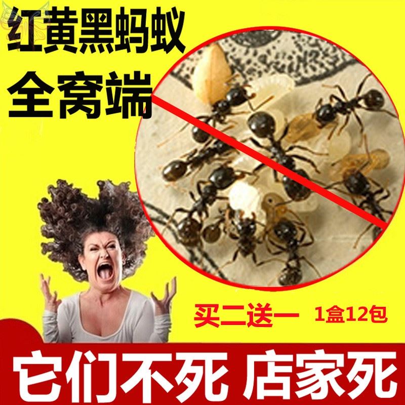 坤宁王灭蚁饵剂全窝端除杀蚂蚁药粉家用室内外小黄红黑白通用神器