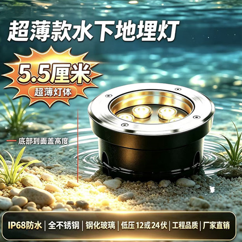 泳池灯led水下壁灯游泳池壁灯12v24V水底灯水下地埋灯鱼池灯超薄