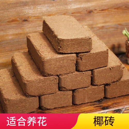 椰砖椰砖营养土有机多肉植物