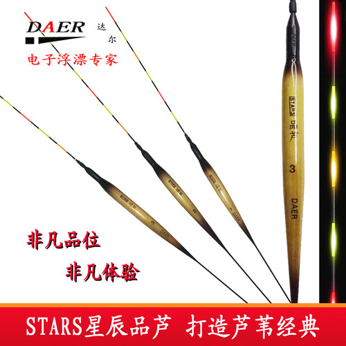 水无影达尔两用电子套装芦苇浮漂