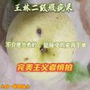 正宗王林苹果二级轻微瑕疵雀斑美人青森水蜜桃苹果大连山东绥中甜