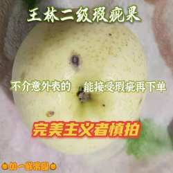 正宗王林苹果二级轻微瑕疵雀斑美人青森水蜜桃苹果大连山东绥中甜