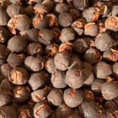 黑珍珠 易好剥2024新货零食奶油味400克烘炒山核桃 果栗园