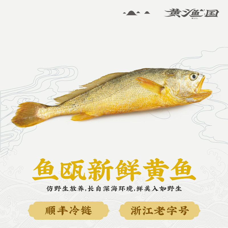 黄渔国鱼瓯新鲜黄鱼冷冻鲜鱼鲜活水产小黄鱼冰鲜黄瓜鱼礼盒装1条